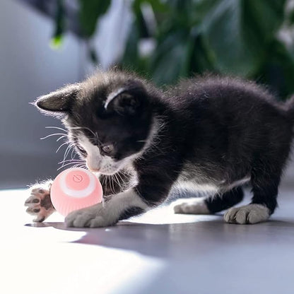 Bola de juguete interactivo para gatos rosa - additional image 15